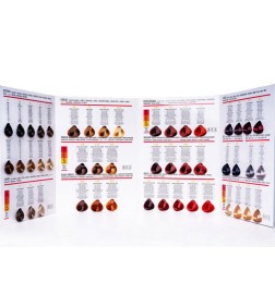 BES REGAL SOFT COLOR COLOR CHART COLOR CHART