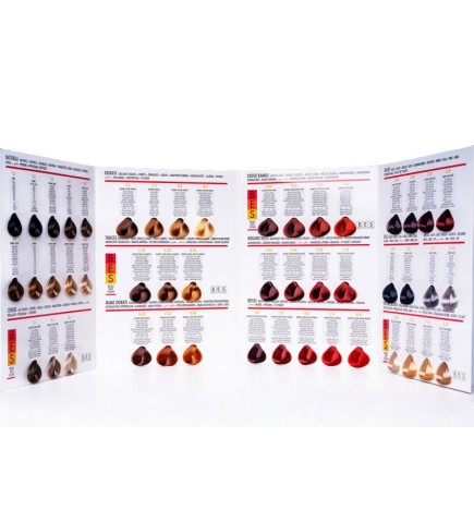 BES REGAL SOFT COLOR CARTA DE COLORES