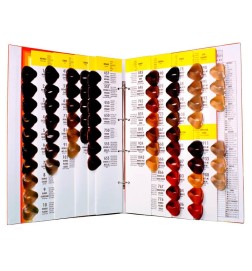 BES PROFESSIONAL Colour Chart