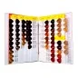 BES PROFESSIONAL Colour Chart
