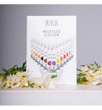 BES MOUSSE COLOR COLOR CHART COLOR CHART