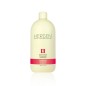 R2 Purifying Concentrate 1000 ml hergen bes red line