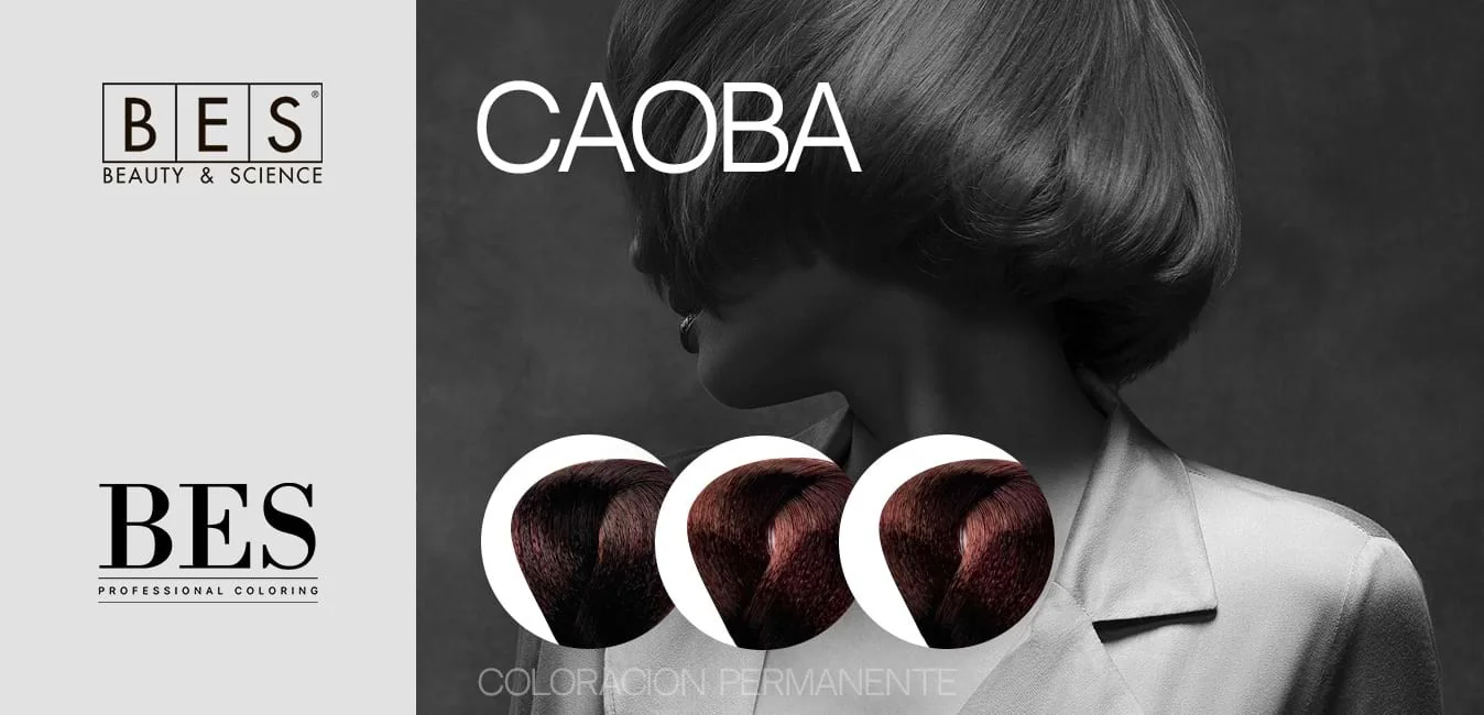 BES Mahogany Dyes • Mahogany Shades • Professional Coloring