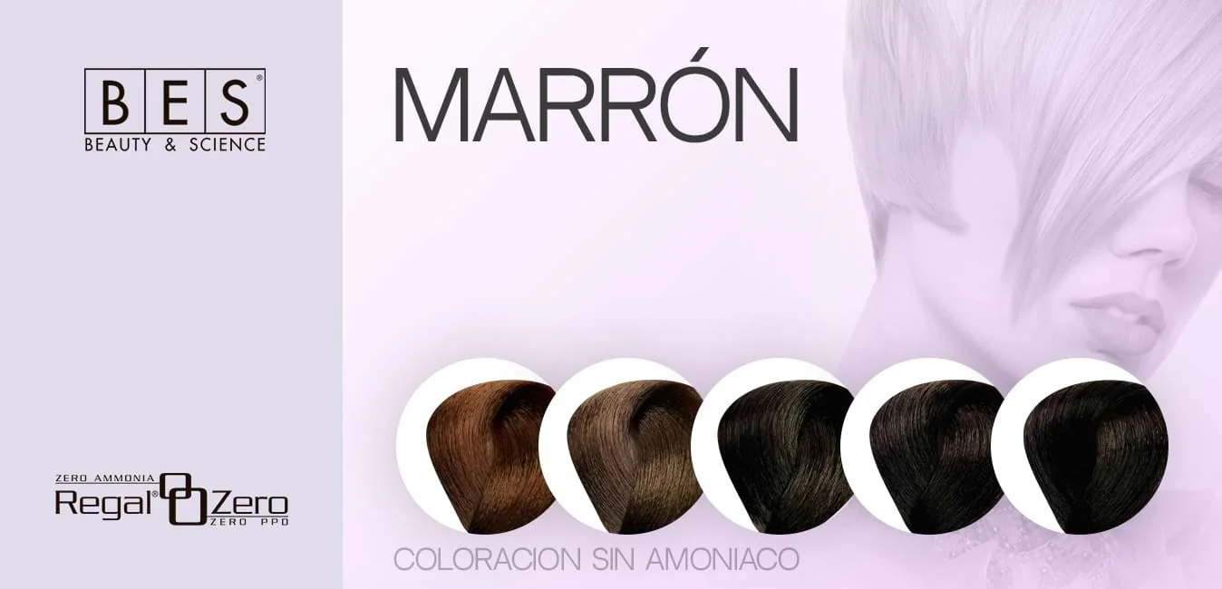 Ammonia-Free Brown Hair Dye • BES Regal Zero