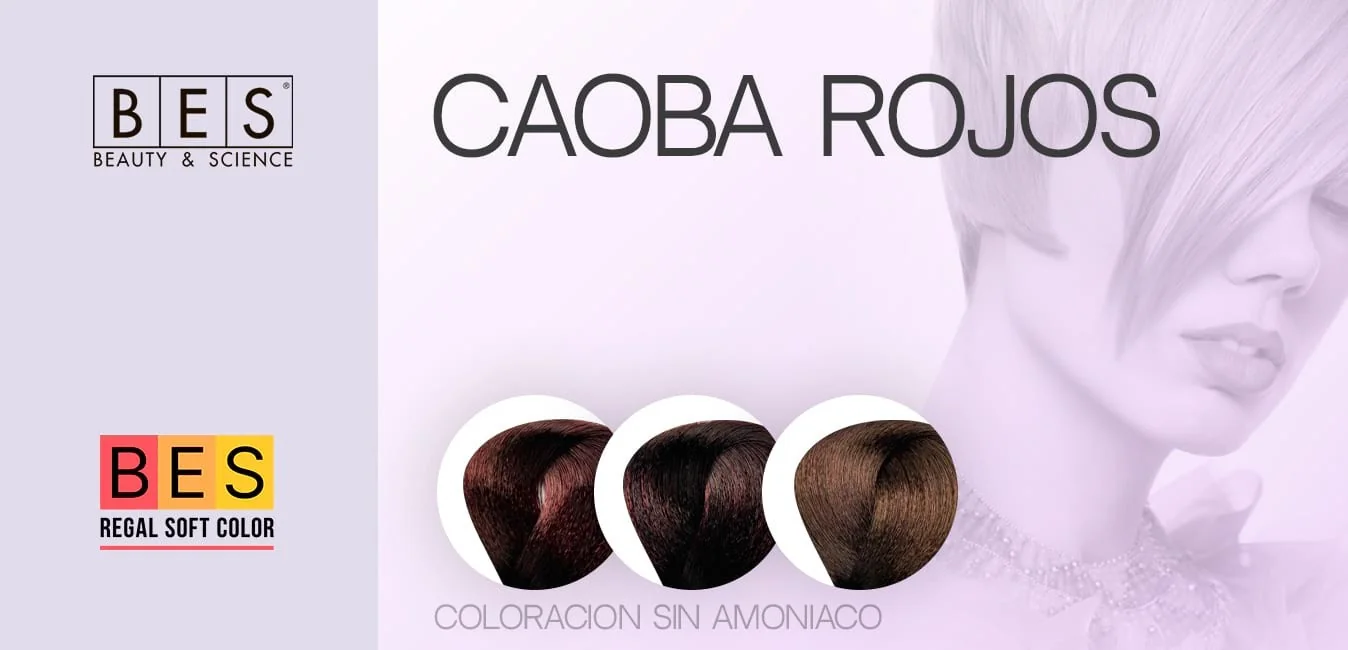 Tinte sin Amoníaco Caoba Rojos • BES Regal Soft Color