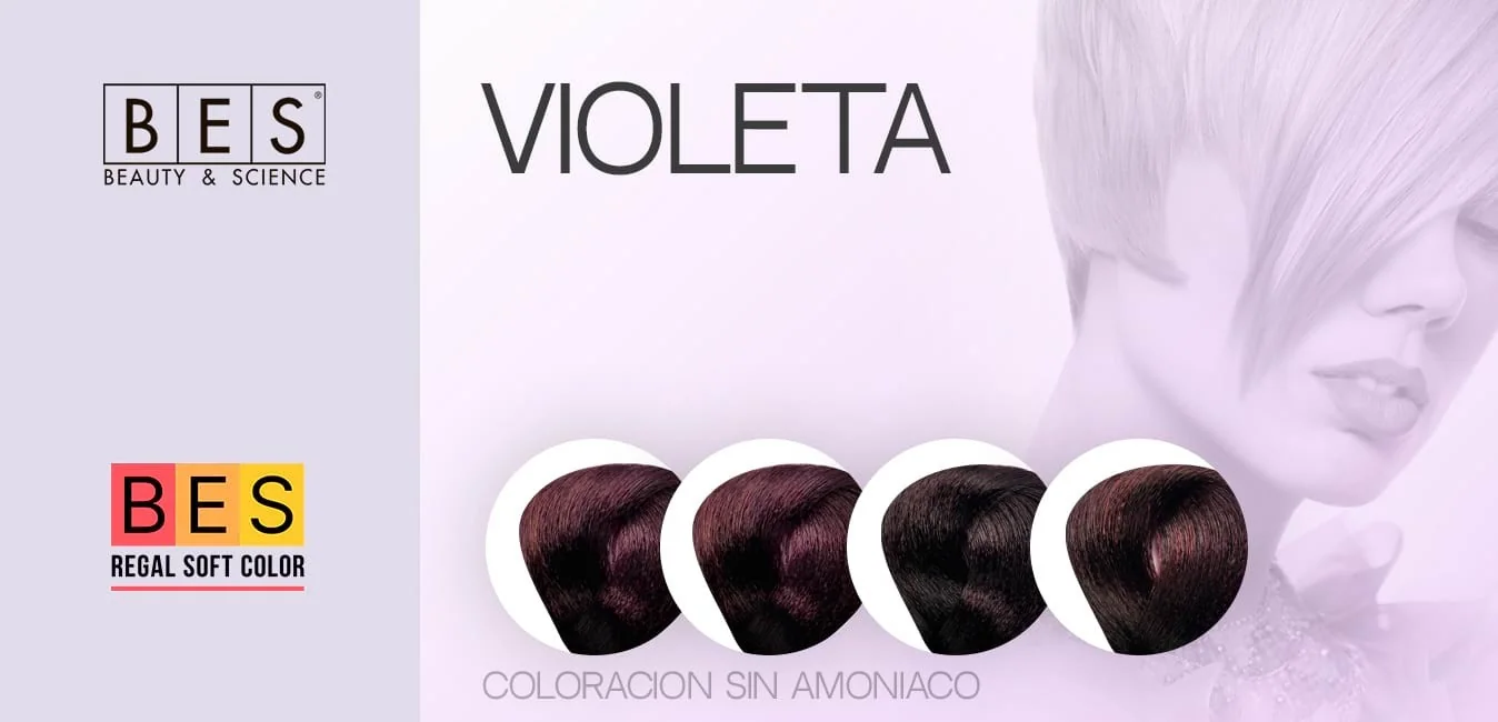 Ammonia-Free Violet Hair Dye • BES Regal Soft Color