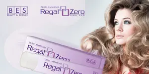 BES Regal Zero