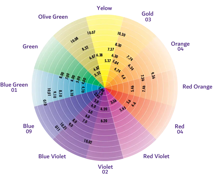 Regal Zero colour index